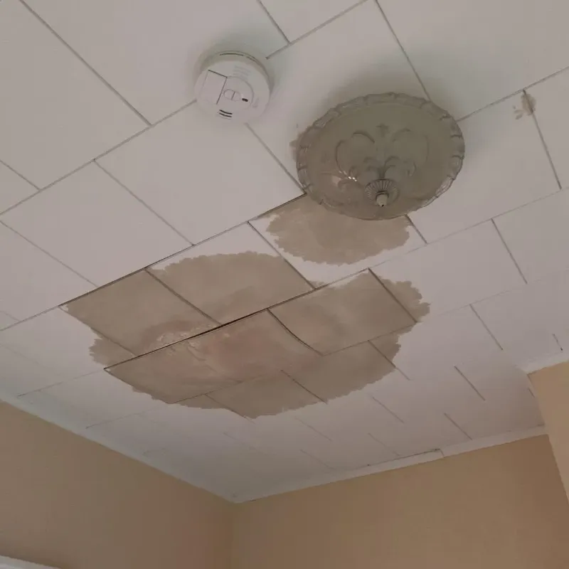 Ceiling Water Damage Repair in Fort McKinley, OH