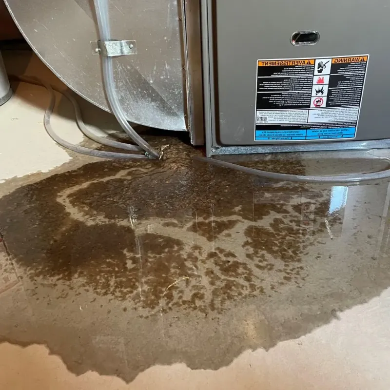 Pipe Burst and Leak Restoration in Fort McKinley, OH
