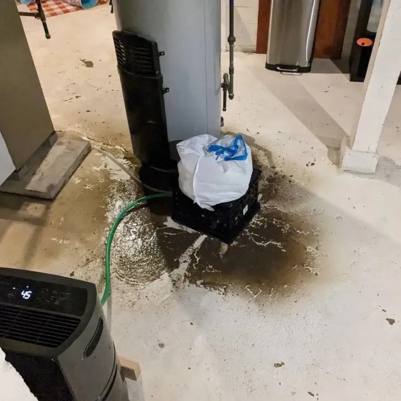 Sewage Backup Cleanup Service in Fort McKinley, OH